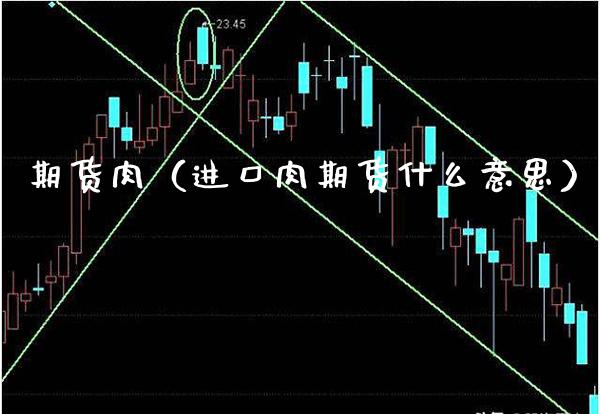 期货肉（进口肉期货什么意思）