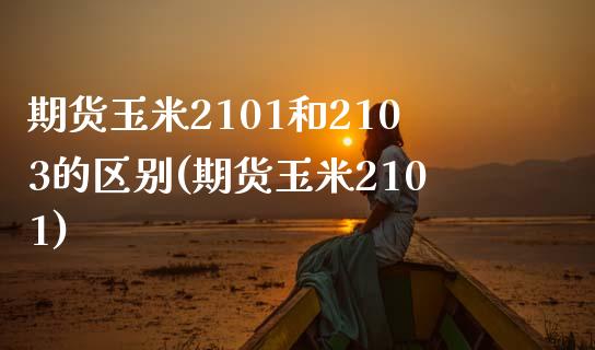 期货玉米2101和2103的区别(期货玉米2101)_https://www.boyangwujin.com_期货直播间_第1张