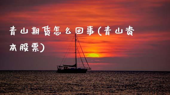 青山期货怎么回事(青山资本股票)