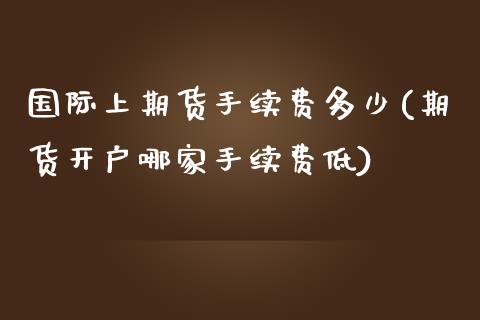 国际上期货手续费多少(期货开户哪家手续费低)