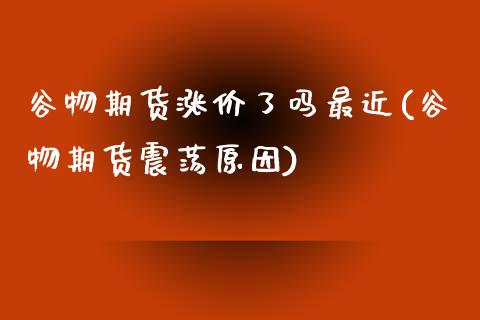 谷物期货涨价了吗最近(谷物期货震荡原因)_https://www.boyangwujin.com_期货直播间_第1张