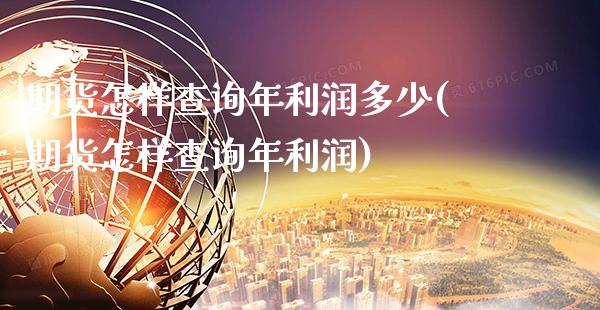 期货怎样查询年利润多少(期货怎样查询年利润)