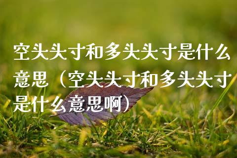 空头头寸和多头头寸是什么意思（空头头寸和多头头寸是什么意思啊）_https://www.boyangwujin.com_期货直播间_第1张