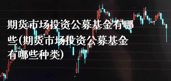 期货市场投资公募基金有哪些(期货市场投资公募基金有哪些种类)_https://www.boyangwujin.com_内盘期货_第1张