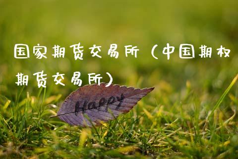 国家期货交易所（中国期权期货交易所）