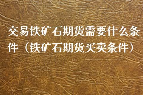 交易铁矿石期货需要什么条件（铁矿石期货买卖条件）_https://www.boyangwujin.com_期货直播间_第1张