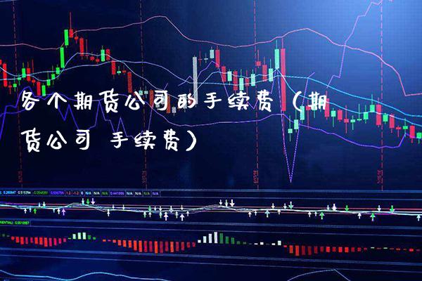 各个期货公司的手续费（期货公司 手续费）_https://www.boyangwujin.com_道指期货_第1张