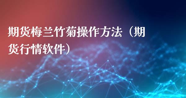 期货梅兰竹菊操作方法（期货行情软件）