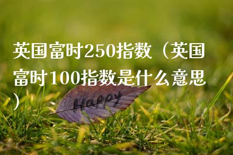 英国富时250指数（英国富时100指数是什么意思）_https://www.boyangwujin.com_恒生指数_第1张