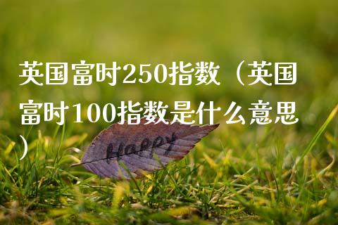 英国富时250指数（英国富时100指数是什么意思）