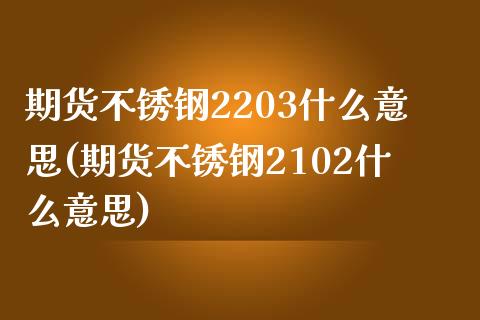 期货不锈钢2203什么意思(期货不锈钢2102什么意思)