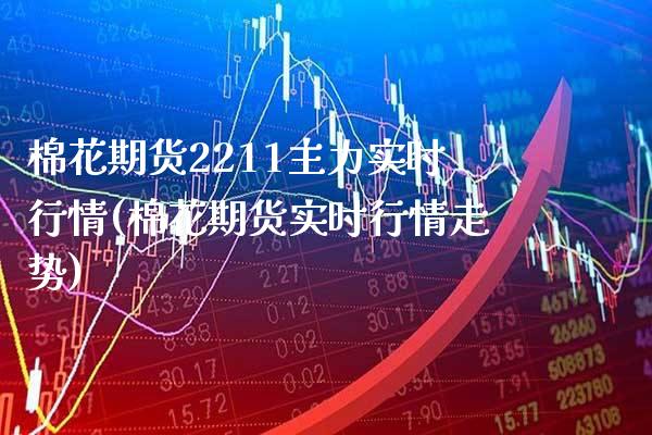 棉花期货2211主力实时行情(棉花期货实时行情走势)