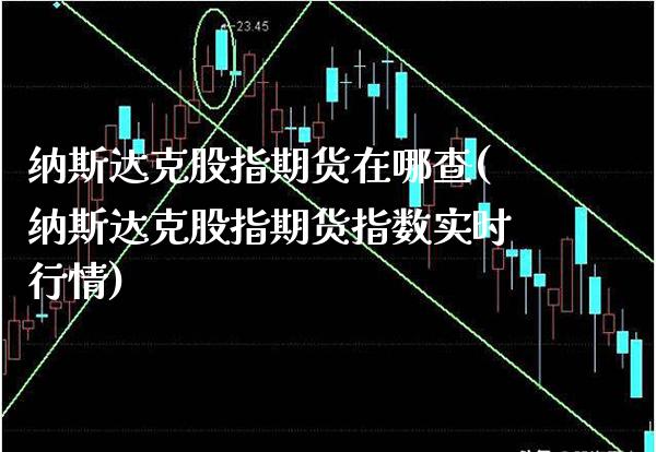纳斯达克股指期货在哪查(纳斯达克股指期货指数实时行情)_https://www.boyangwujin.com_期货直播间_第1张