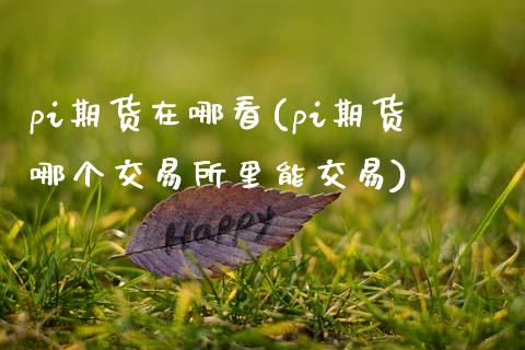 pi期货在哪看(pi期货哪个交易所里能交易)_https://www.boyangwujin.com_期货直播间_第1张