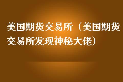 美国期货交易所（美国期货交易所发现神秘大佬）