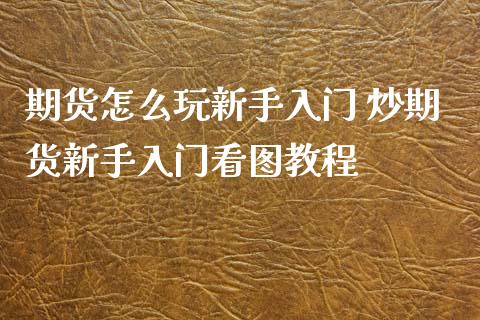 期货怎么玩新手入门 炒期货新手入门看图教程_https://www.boyangwujin.com_道指期货_第1张
