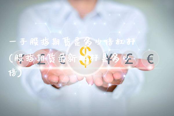 一手股指期货是多少倍杠杆(股指期货最新杠杆是多少倍)_https://www.boyangwujin.com_白银期货_第1张