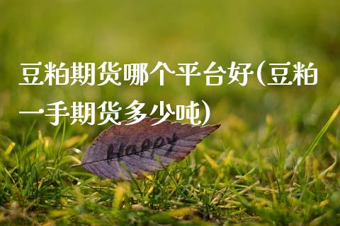 豆粕期货哪个平台好(豆粕一手期货多少吨)_https://www.boyangwujin.com_期货直播间_第1张