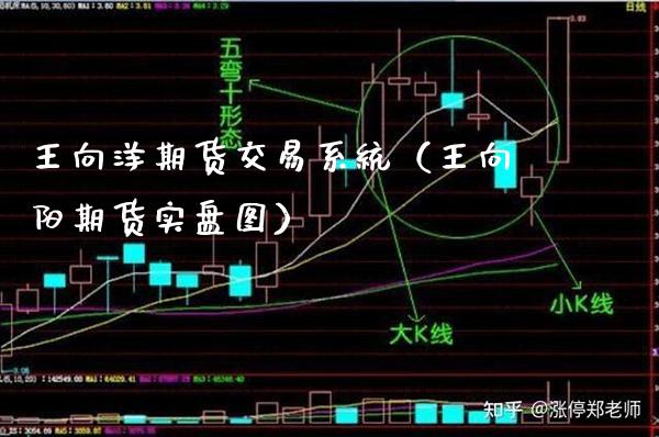 王向洋期货交易系统（王向阳期货实盘图）_https://www.boyangwujin.com_期货直播间_第1张