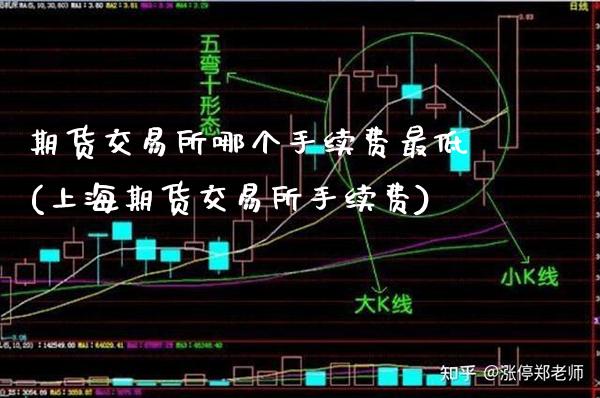 期货交易所哪个手续费最低(上海期货交易所手续费)