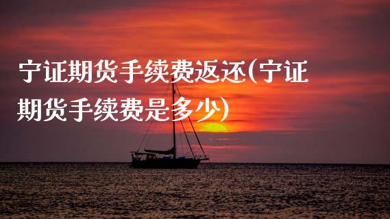 宁证期货手续费返还(宁证期货手续费是多少)