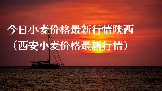 今日小麦价格最新行情陕西（西安小麦价格最新行情）_https://www.boyangwujin.com_期货直播间_第1张