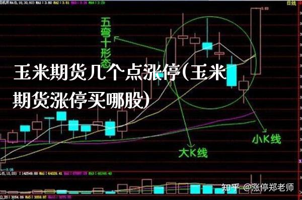玉米期货几个点涨停(玉米期货涨停买哪股)_https://www.boyangwujin.com_原油期货_第1张