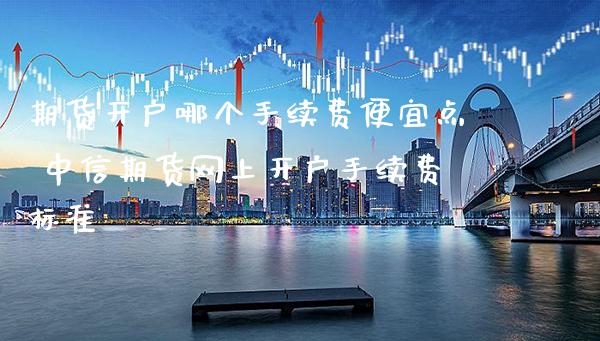 期货开户哪个手续费便宜点 中信期货网上开户手续费标准_https://www.boyangwujin.com_黄金期货_第1张