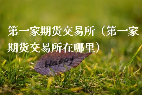 第一家期货交易所（第一家期货交易所在哪里）