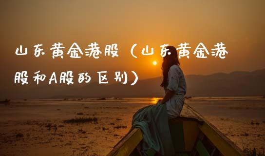 山东黄金港股（山东黄金港股和A股的区别）