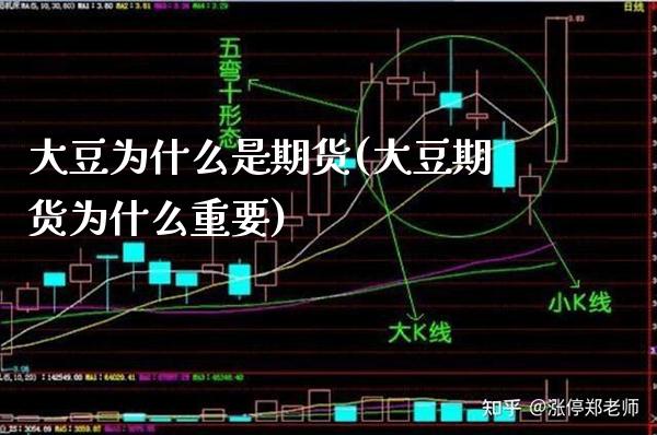 大豆为什么是期货(大豆期货为什么重要)_https://www.boyangwujin.com_恒指期货_第1张