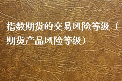 指数期货的交易风险等级（期货产品风险等级）