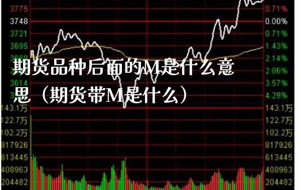 期货品种后面的M是什么意思（期货带M是什么）_https://www.boyangwujin.com_期货直播间_第1张