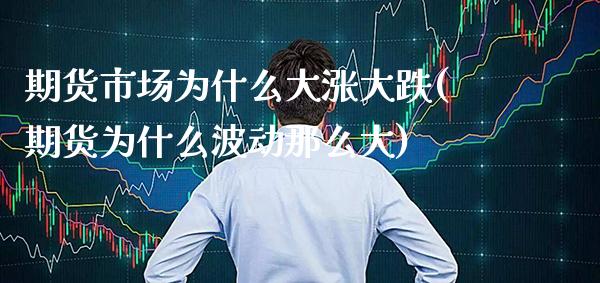 期货市场为什么大涨大跌(期货为什么波动那么大)_https://www.boyangwujin.com_期货开户_第1张