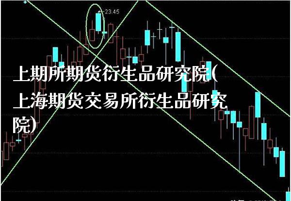 上期所期货衍生品研究院(上海期货交易所衍生品研究院)