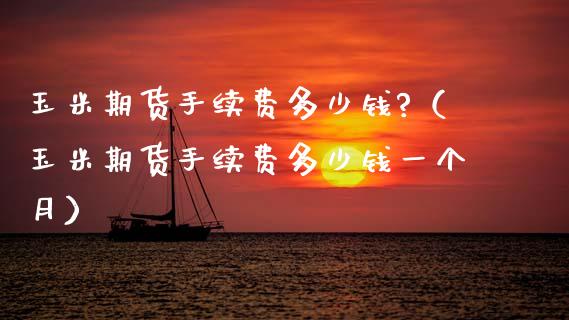 玉米期货手续费多少钱?（玉米期货手续费多少钱一个月）_https://www.boyangwujin.com_原油期货_第1张