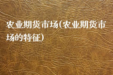 农业期货市场(农业期货市场的特征)