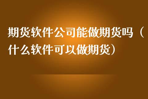 期货软件公司能做期货吗（什么软件可以做期货）_https://www.boyangwujin.com_期货直播间_第1张