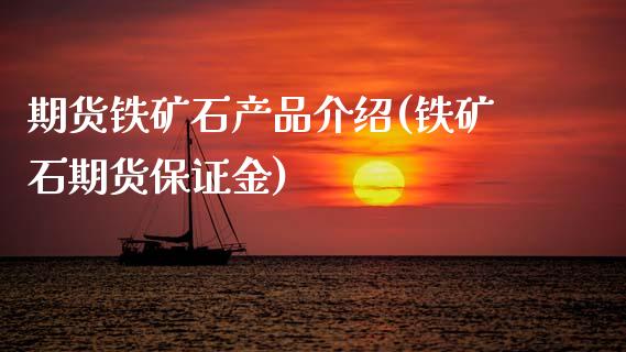 期货铁矿石产品介绍(铁矿石期货保证金)