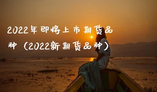 2022年即将上市期货品种（2022新期货品种）_https://www.boyangwujin.com_纳指期货_第1张