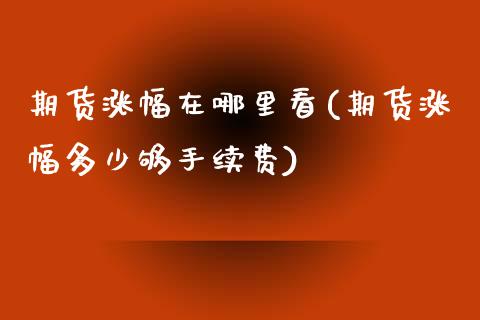 期货涨幅在哪里看(期货涨幅多少够手续费)_https://www.boyangwujin.com_白银期货_第1张