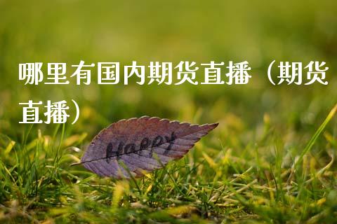 哪里有国内期货直播（期货直播）_https://www.boyangwujin.com_原油期货_第1张