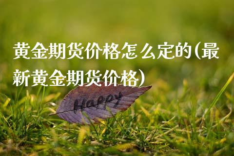 黄金期货价格怎么定的(最新黄金期货价格)_https://www.boyangwujin.com_期货直播间_第1张