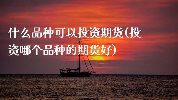 什么品种可以投资期货(投资哪个品种的期货好)_https://www.boyangwujin.com_期货科普_第1张