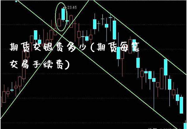 期货交银费多少(期货每笔交易手续费)_https://www.boyangwujin.com_黄金期货_第1张