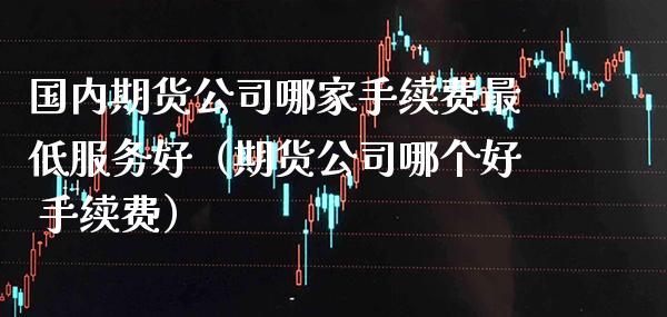 国内期货公司哪家手续费最低服务好（期货公司哪个好 手续费）_https://www.boyangwujin.com_恒生指数_第1张