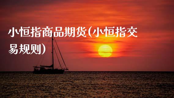小恒指商品期货(小恒指交易规则)