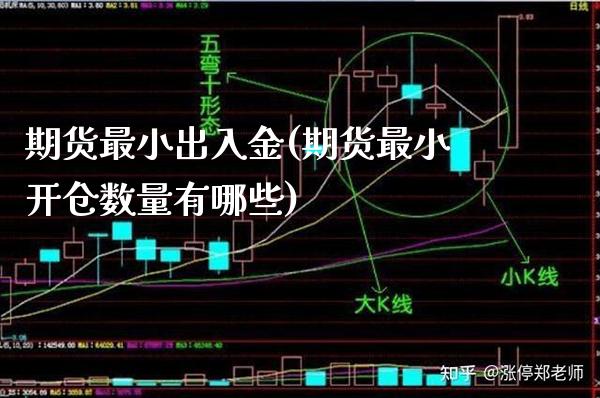 期货最小出入金(期货最小开仓数量有哪些)_https://www.boyangwujin.com_纳指期货_第1张