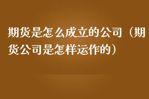 期货是怎么成立的公司（期货公司是怎样运作的）_https://www.boyangwujin.com_黄金期货_第1张