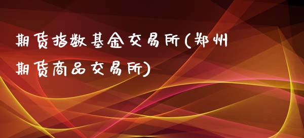 期货指数基金交易所(郑州期货商品交易所)